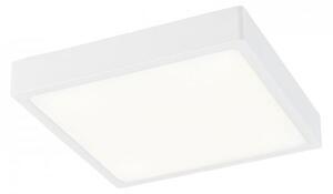 Favi Plafonieră led globo 12365-15 alena led/15w/230v Ofertă