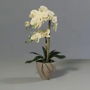 Favi Orhidee artificiala galbena in ghiveci ceramic - 57 cm Ofertă