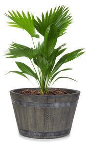 Favi Blumfeldt winegrow, ghiveci, 52,5 x 31,5 cm (ø x î), ușor, fibreclay, gri Ofertă