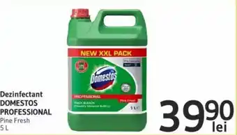 domestos professional dezindectant pine fresh 5l