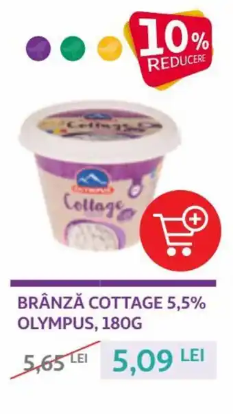 Auchan olympus brănza cottage 5,5% 180g Ofertă