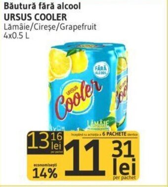 Supeco ursus cooler băutură fără alcool 4x0.5l Ofertă
