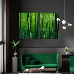 Favi Bamboo forest in china Ofertă