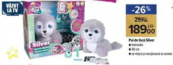 Pui de focă Silver interactiv, 30 cm, se mișcă și reacționeză la sunete