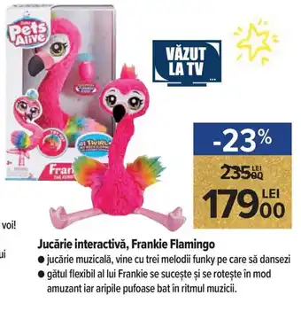Jucărie interactiviă, Frankie Flamingo jucărie muzicală, vine cu trei melodii funky pe care să dansezi