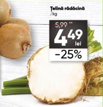 PROFI Țelină rădăcină 1 kg Ofertă