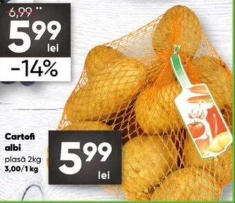 PROFI Cartofi albi plasă 2 kg Ofertă