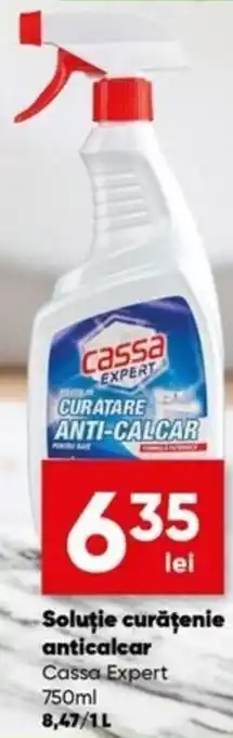 PROFI Cassa Expert Soluție curățenie anticalcar 750 ml Ofertă