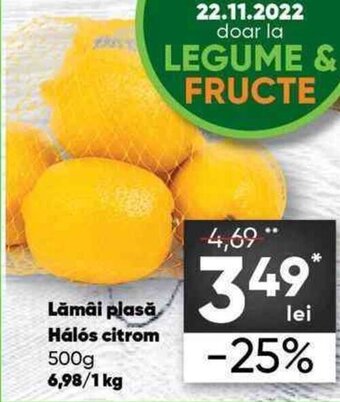 PROFI Lămăi plasă Halos citrom 500 g Ofertă