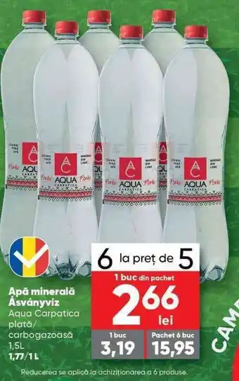 PROFI Aqua Carpatica apă plată / carbohazoasă Apă minerală 2L Ofertă