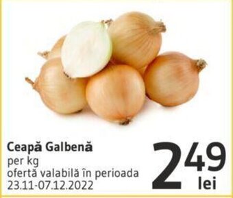 Supeco Ceapă Galbenă per kg Ofertă