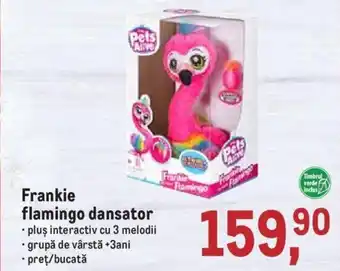 Frankie flamingo dansator