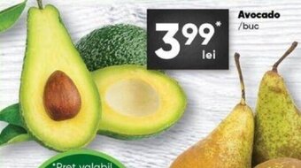 Avocado buc