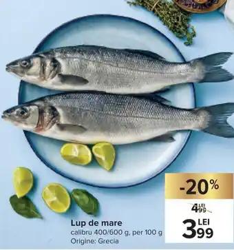 Carrefour Lup de mare calibru 400/600 g per 100 g Origine: Grecia Ofertă