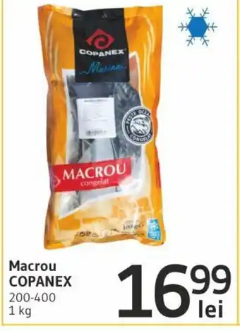 Supeco Copanex Macrou 200-400 1 kg Ofertă