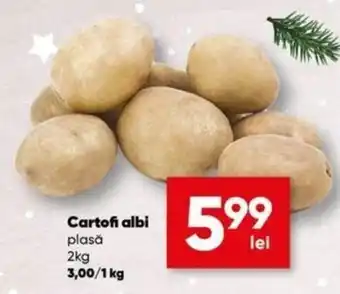 PROFI Cartofi albi plasă 2 kg Ofertă