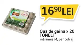 Supeco Toneli Ouă de găină x 20 mărimea M, per cofraj Ofertă