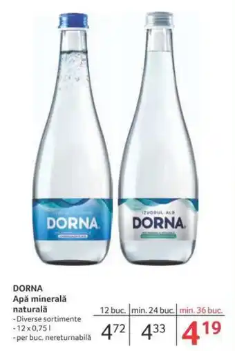 Selgros Dorna apă minerală naturală 12 x 0,75 Ofertă