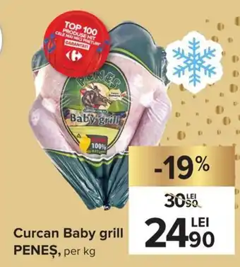 Carrefour Peneș Curcan Baby grill per kg Ofertă