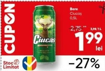 PROFI Ciucaș bere 0,5l Ofertă