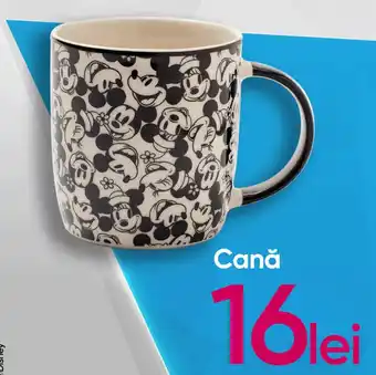 Pepco Cană Ofertă