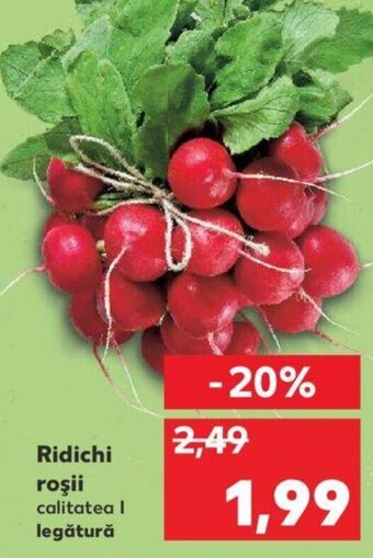 Kaufland Ridichi roșii Ofertă