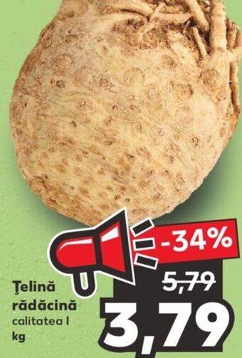 Kaufland Țelină rădăcină Ofertă