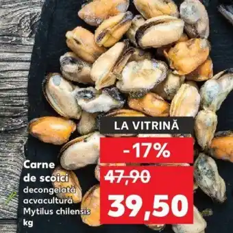Kaufland Carne de scoici Ofertă