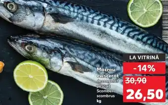 Kaufland Macrou eviscerat Ofertă