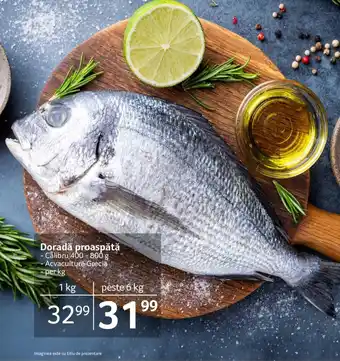 Selgros Doradă proaspătă Calibru 400 - 800 g, Acvacultură Grecia, per kg Ofertă