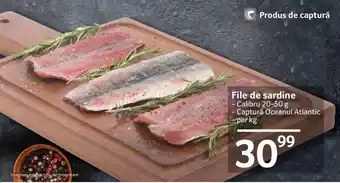 File de sardine Calibru 20-50 g, Captură Oceanul Atlantic, per kg