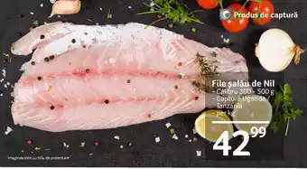 Selgros File șalău de Nil Calibru 300 - 500 g, Captură Uganda / Tanzania, per kg Ofertă