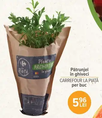 Carrefour Market Carrefour La Piață Pătrunjel în ghiveci per buc Ofertă