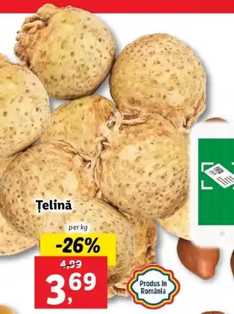 Lidl Lidl piața țelină per kg Ofertă