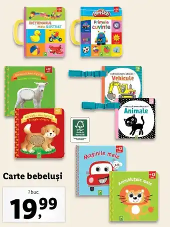 Lidl Carte bebeluși 1 buc Ofertă