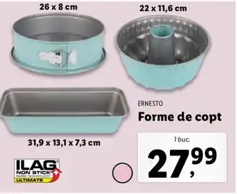 Lidl Ernesto forme de copt 1 buc Ofertă