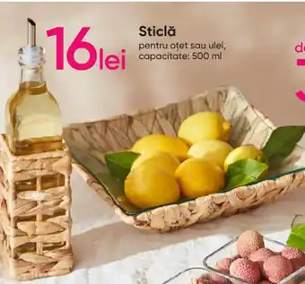 Pepco Sticlă pentru oțet sai ulei capacitate 500ml Ofertă