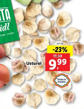 Lidl piața usturoi per 1kg