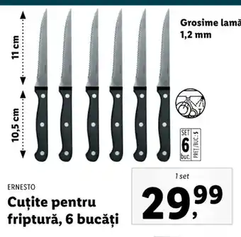 Lidl Ernesto cuțite pentru friptură 6 bucăți 1 set Ofertă