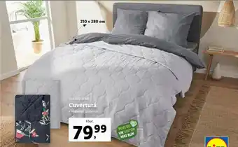 Lidl Livarno home cuvertură poliester 1 buc Ofertă
