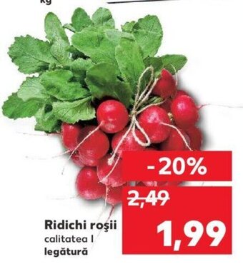 Kaufland Ridichi roșii calitatea I legătură Ofertă