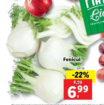 Lidl Lidl piața fenicul per kg Ofertă