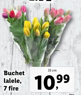 Lidl florăria buchet lalele 7 fire 35cm