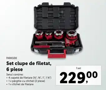 Parkside set clupe de filetat 6 piese 1 set
