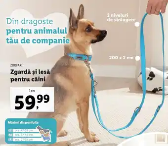 Zoofari zgardă și lesă pentru câini 1 set