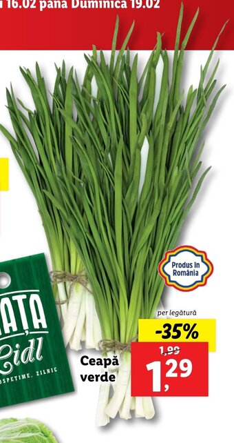 Lidl Lidl piața ceapă verde per legătură Ofertă