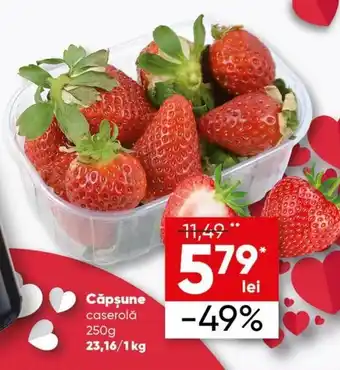 PROFI Căpșune caserolă 250g Ofertă