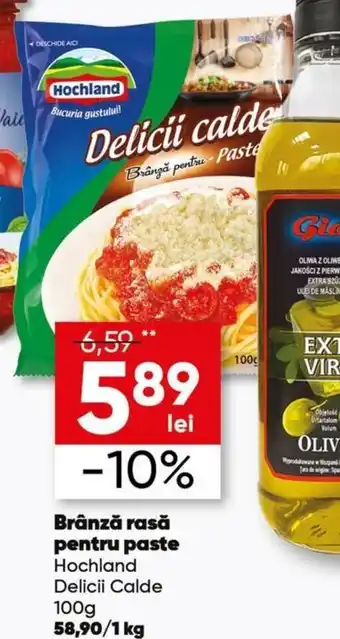 PROFI Hochland brânză rasă pentru paste 100g Ofertă