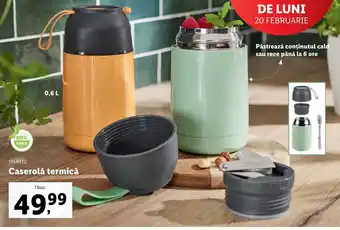 Lidl Ernesto Caserolă termică 1 buc Ofertă