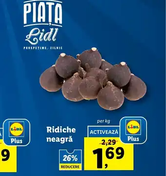 Lidl Lidl Piața Ridiche neagră per kg Ofertă
